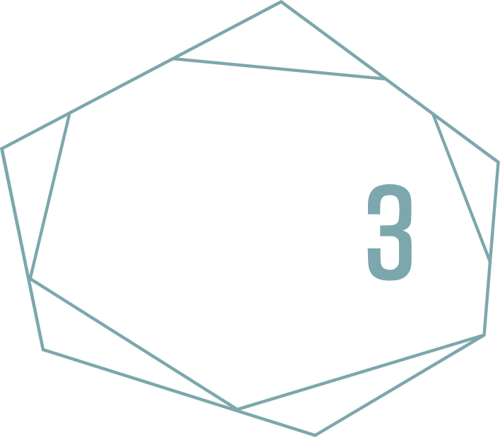 Agency Fifty3 Logo